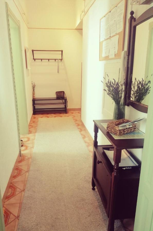 App Obrovac In The Centre - With Amazing Sea View! Apartamento PUY Exterior foto