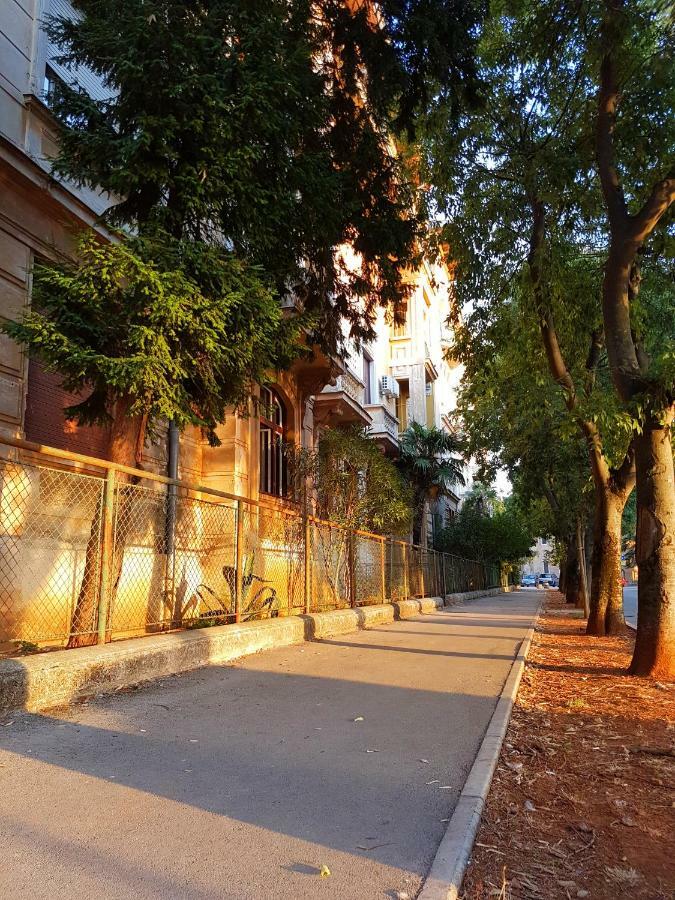 App Obrovac In The Centre - With Amazing Sea View! Apartamento PUY Exterior foto